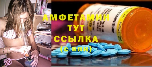 хмурый Алексин