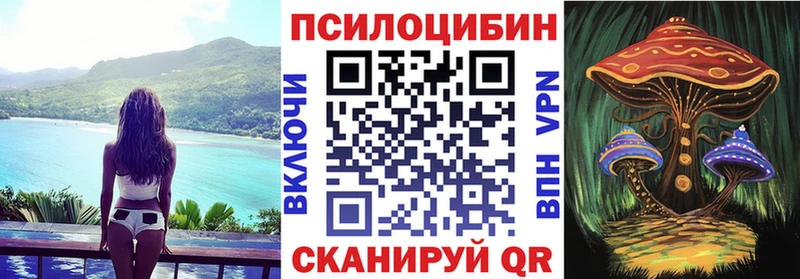 Псилоцибиновые грибы мицелий  закладка  Покров 